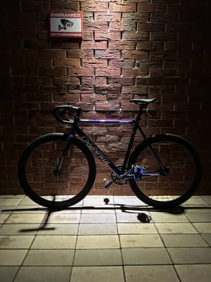 Tsunami snm100 chameleon