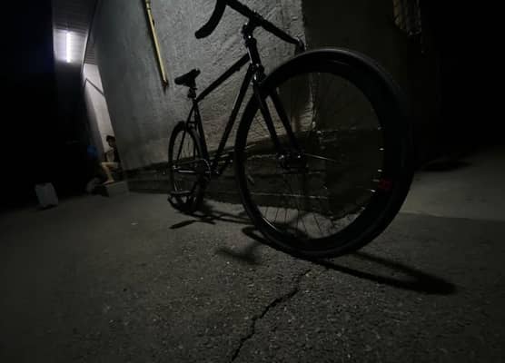 Horse h700