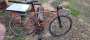 bearbike vienna fixed gear