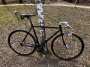 Fuji Feather 2016