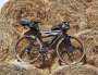 Kona rove st 2020