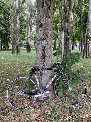 Bianchi Pista
