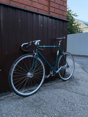 Fuji Feather