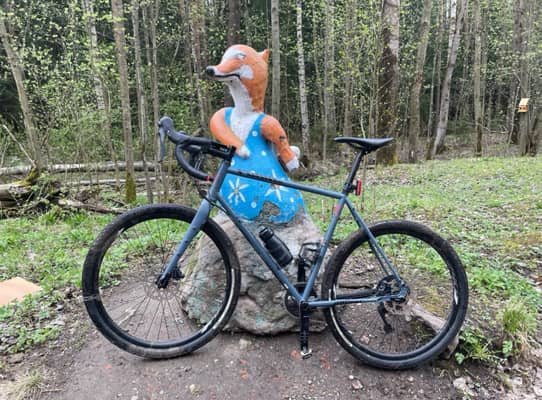 Author Ronin XC 2020