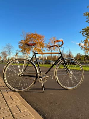 Велосипед Linus Roadster custom