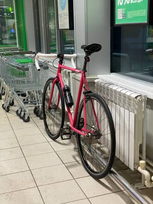 Bear Bike 2020