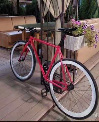 Bearbike 2018