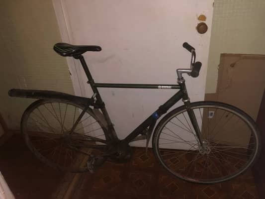 Bear Bike Torino