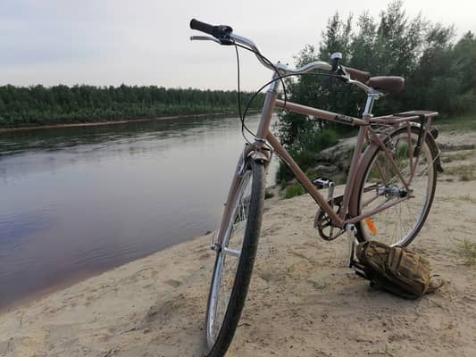 SHULZ ROADKILLER, ростовка M, L