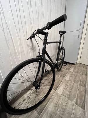 Bear bike Madrid 58