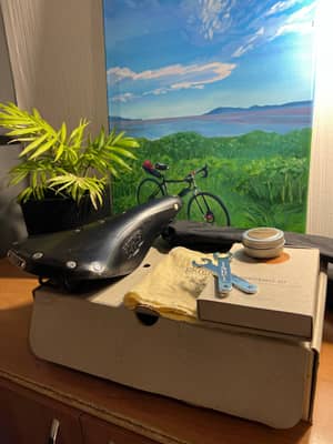 Brooks B17