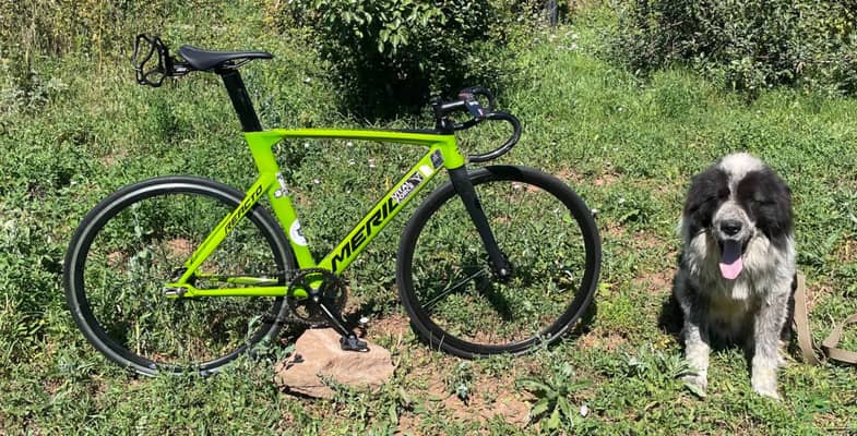 Merida track reacto 500 2018
