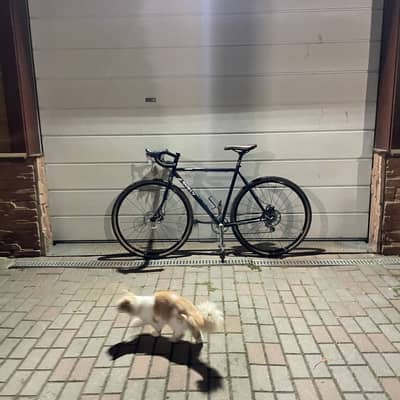 surly straggler
