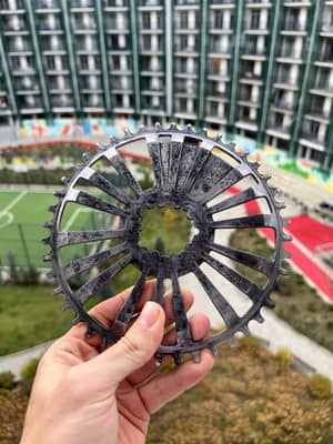 Aarn chainring