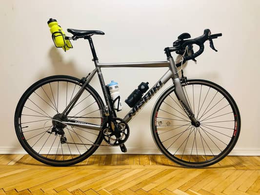 Nishiki Endurium 2017