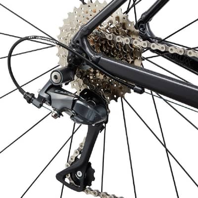 Giant contend 3 (2022)