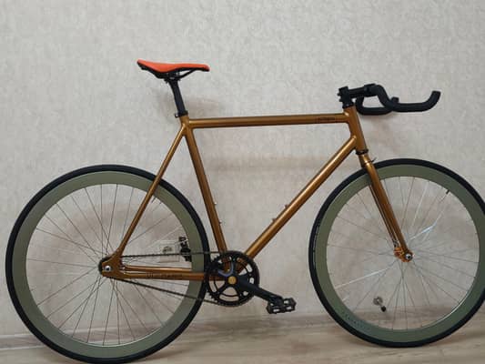 Octopus vulgaris road pro 58