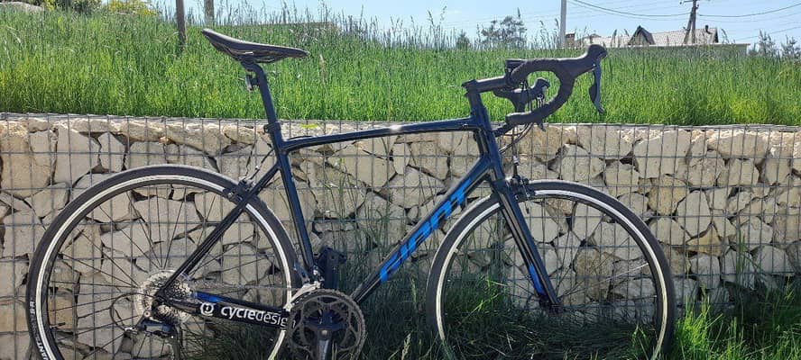 Giant contend 2 2021