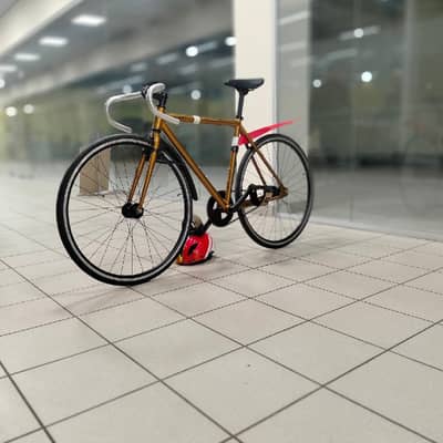 Octopus 50 brown 2022
