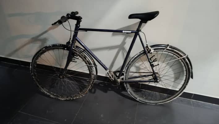 Bear bike 58 синий