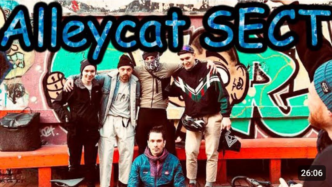 🐈‍⬛️ свежий АЛЕЙКАТ от SECT 🐈‍⬛️
