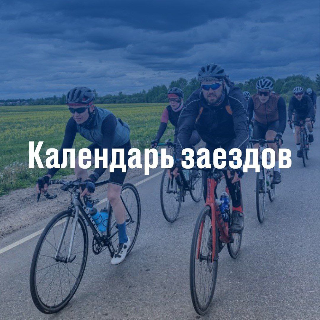 MOGT7 • Сезон 2024