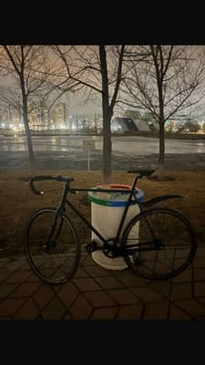 black bearbike
