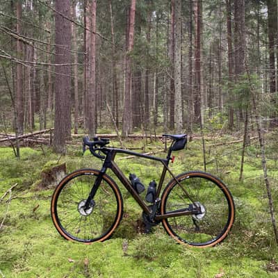 canyon grail 2019