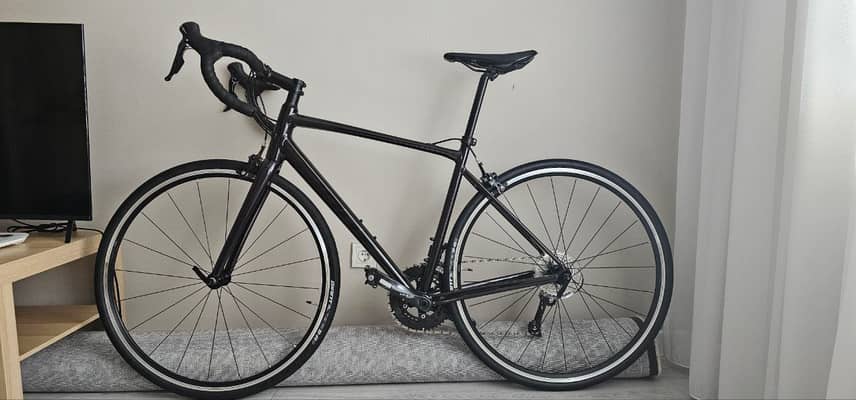 Giant Contend 1 2022(NEW)