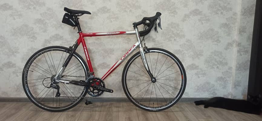 Orbea Lobular год неизвестен