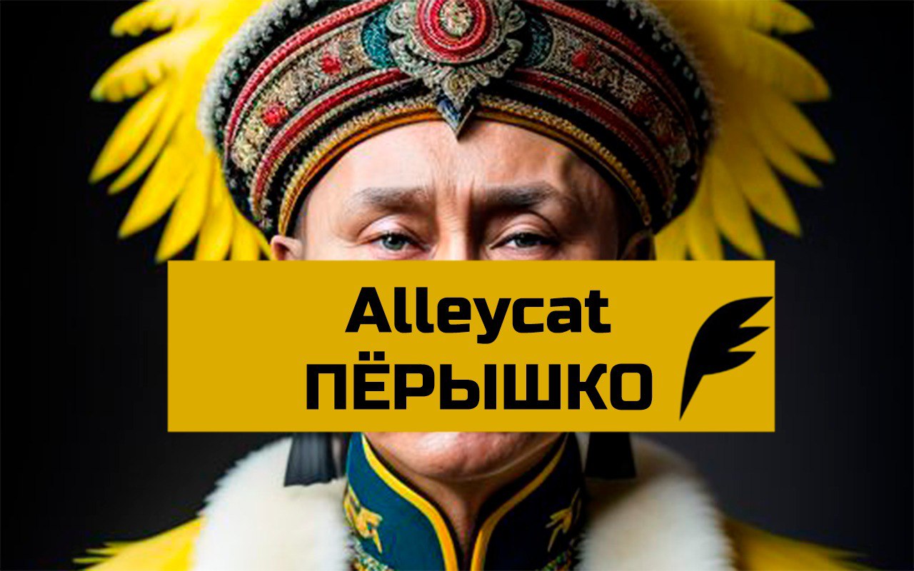 🪽 Alleycat от ПЕРЫШКО 🪽