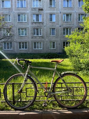 Schwinn Cutter