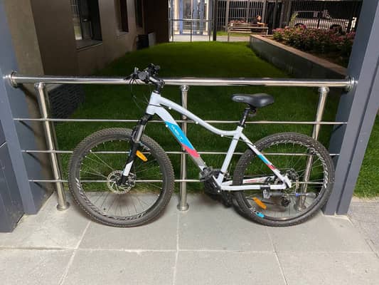 Welt Edelweiss 1.0 2020