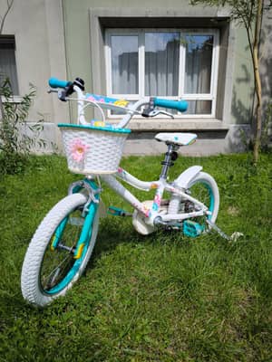 Liv adore 16 2020