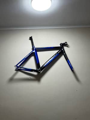 Giant omnium