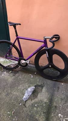 Pizz t1/ alpina
