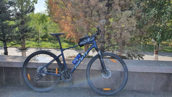 Giant Roam Disc 1 (2021)