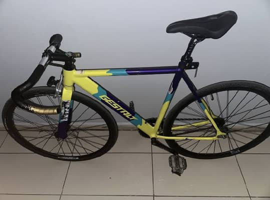 fixed gear gestalt