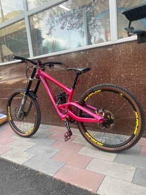 Scott gambler 2015