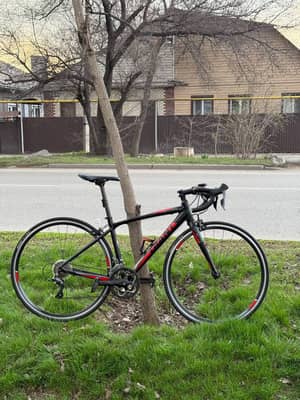 Giant SCR 2