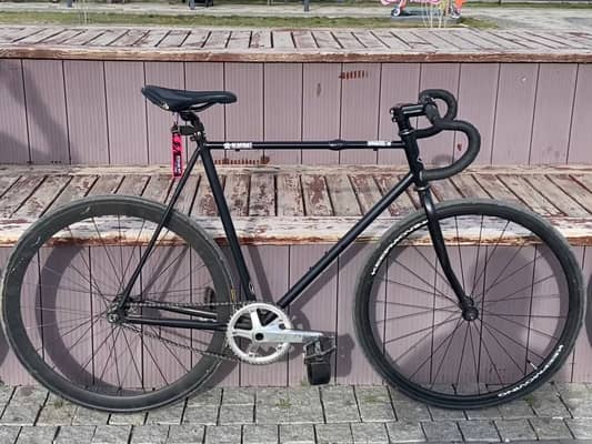 Bear bike Madrid