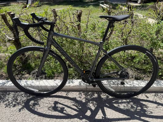 Giant Contend 3