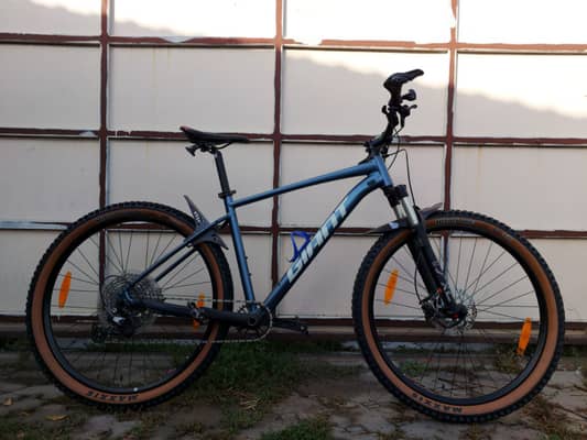 GIANT Talon 0 / 29" L. (2023)
