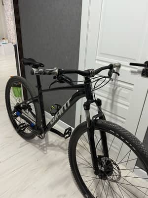 Giant Talon 3 2021 custom