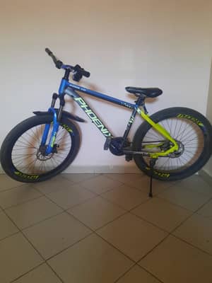 Phoenix K2000 1.0