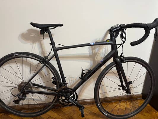 Giant Contend 2, 2024. ML.
