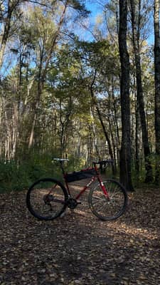 Shulz Wanderer 2020 L