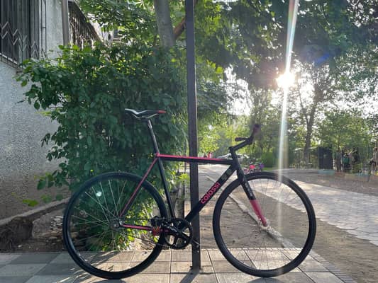 Colossi pursuit track
