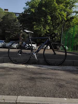DBR dimondbackroad