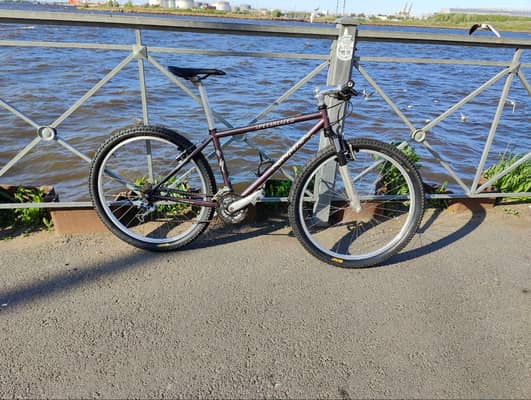 Specialized Rockhopper